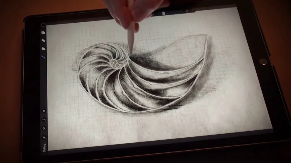 Golden Ratio Nautilus